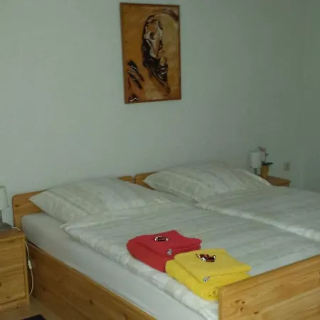 شقة Am Schlossgarten باد هومبرغ فور دير هوه